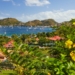 Îles de Guadeloupe : 3 bonnes raisons de faire de la plongée