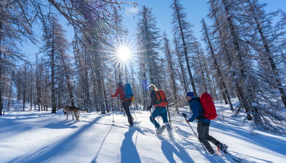 SKi