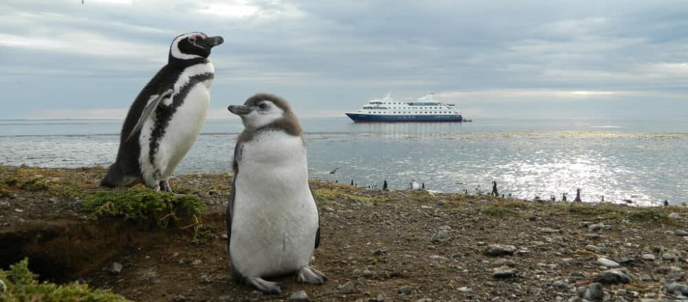 CRUCEROS