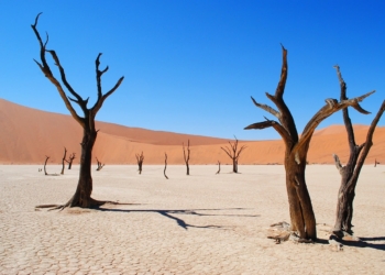 deadvlei-afrique-sud