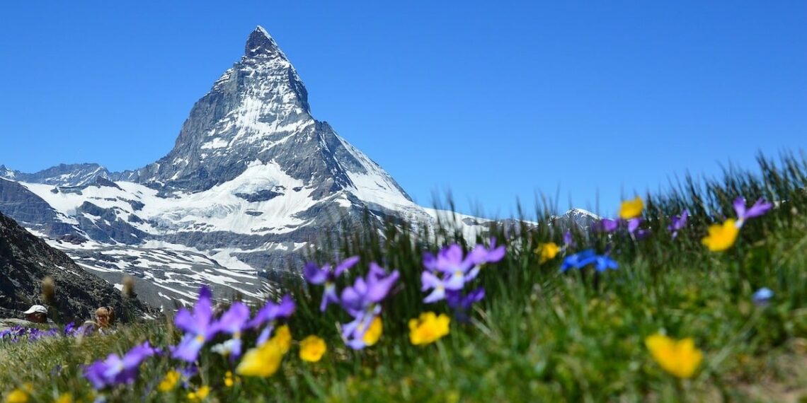 LA SUISSE