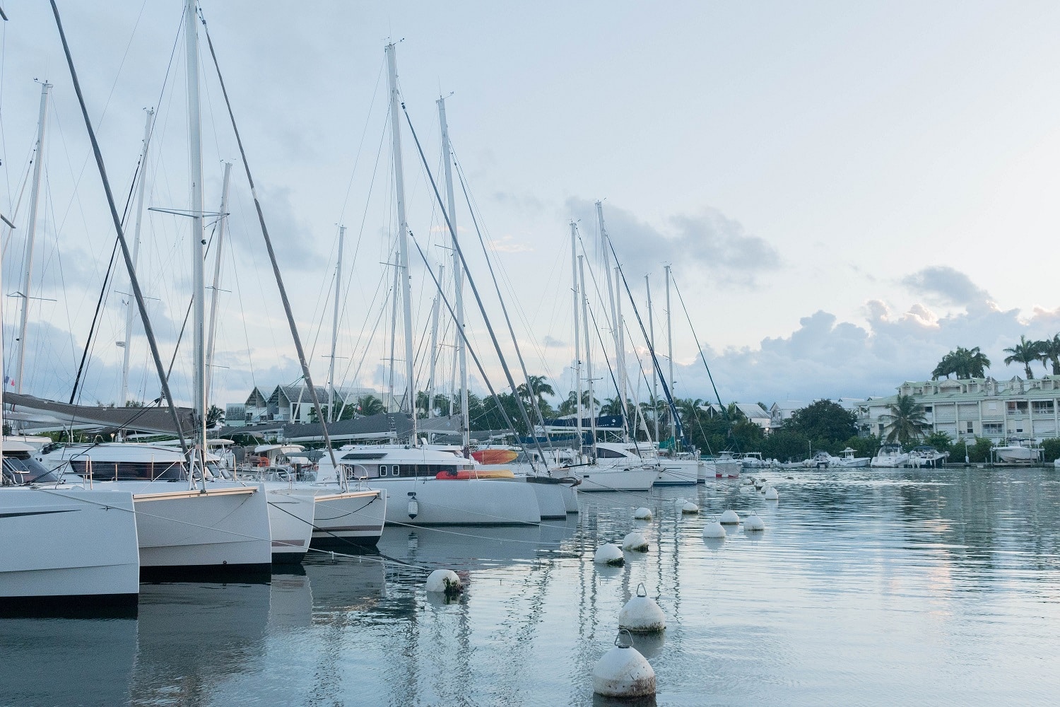 Pointe à Pitre, en Guadeloupe