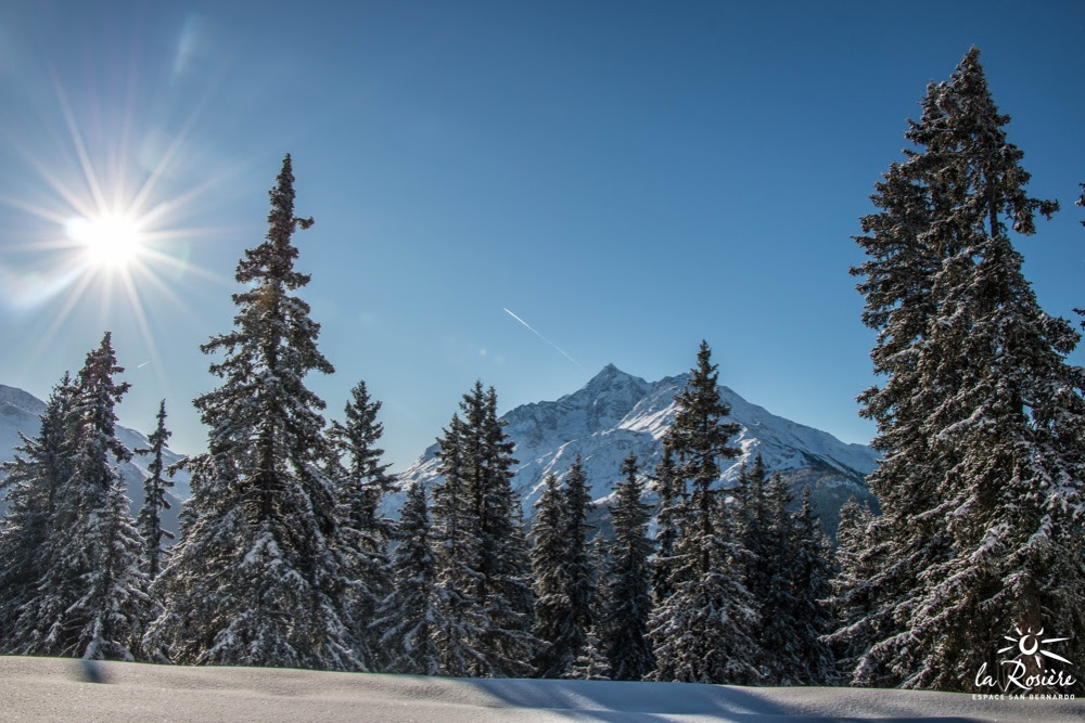 La Rosière