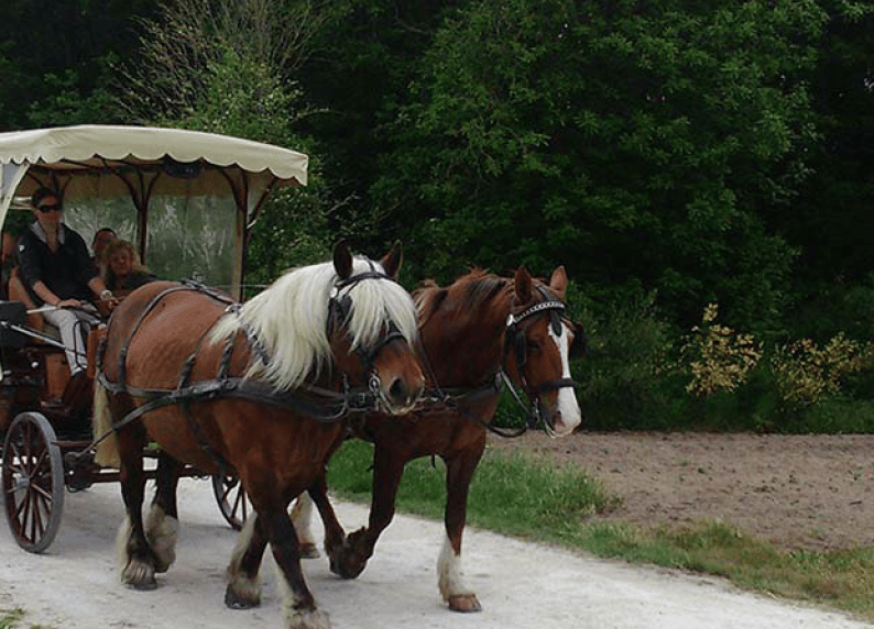 Clos Lucé 