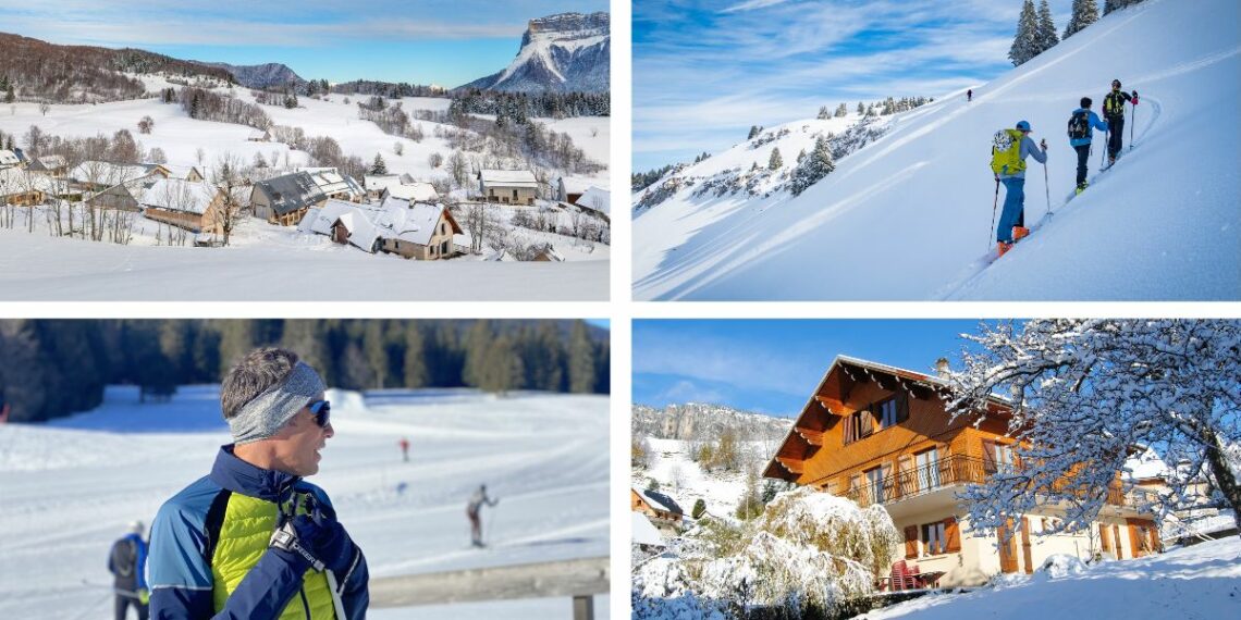 Chartreuse