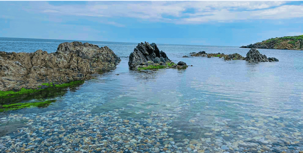 ARGELES SUR MER