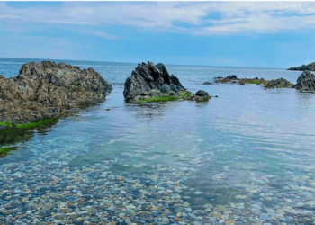 ARGELES SUR MER