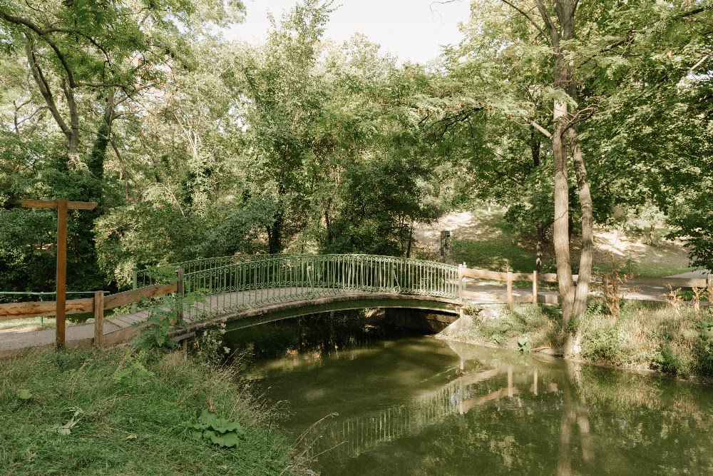 VIENNE