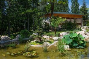 Jardin japonais, Aix-en-Provence.