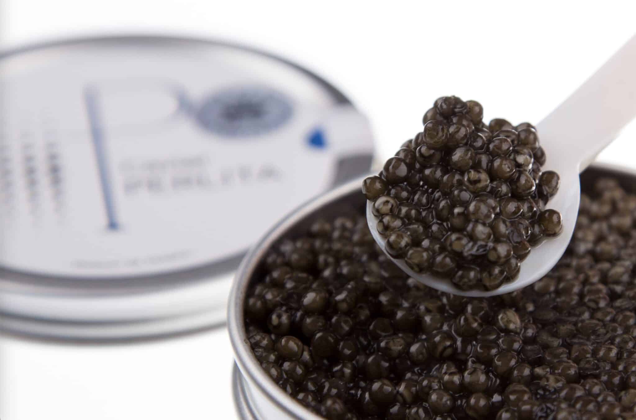 Caviar