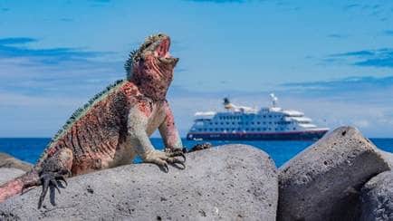 Hurtigruten