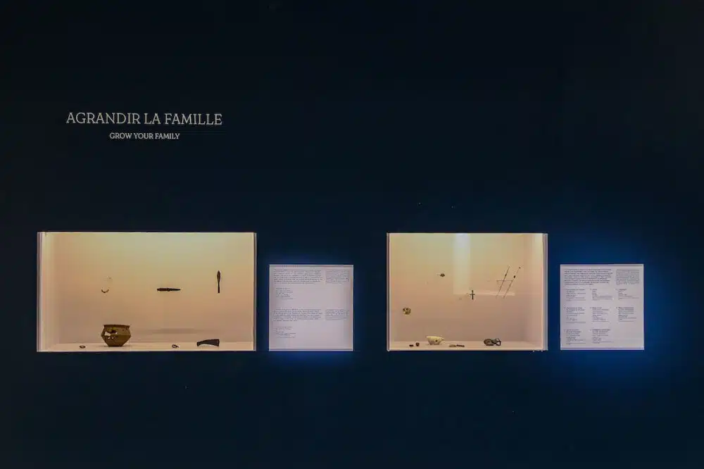 © Musée d'Archéologie nationale