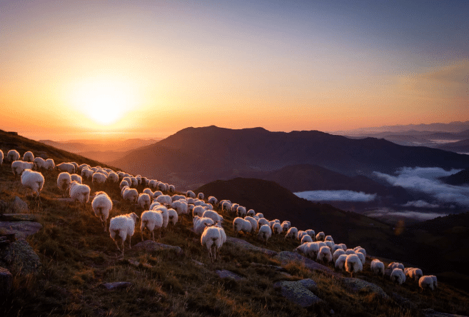 Pays basque : évasion et mini-aventures