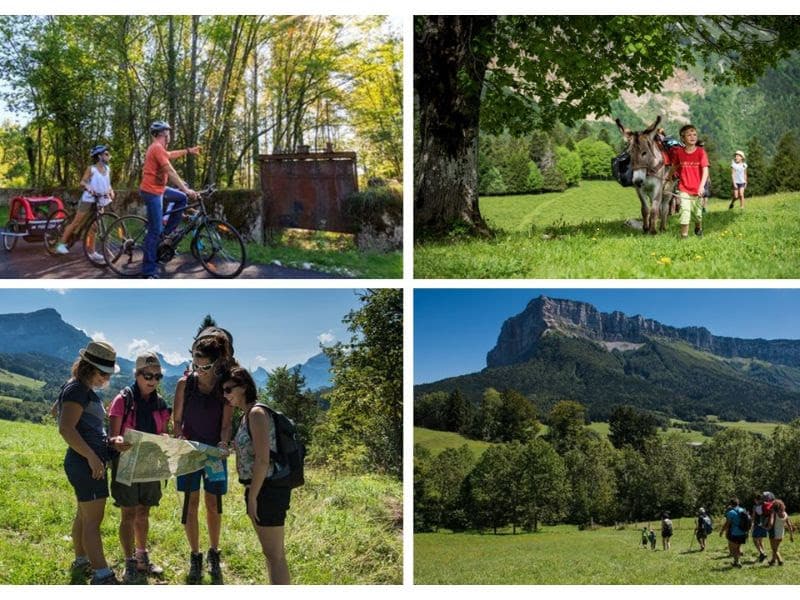 Emeraude des Alpes, la Chartreuse