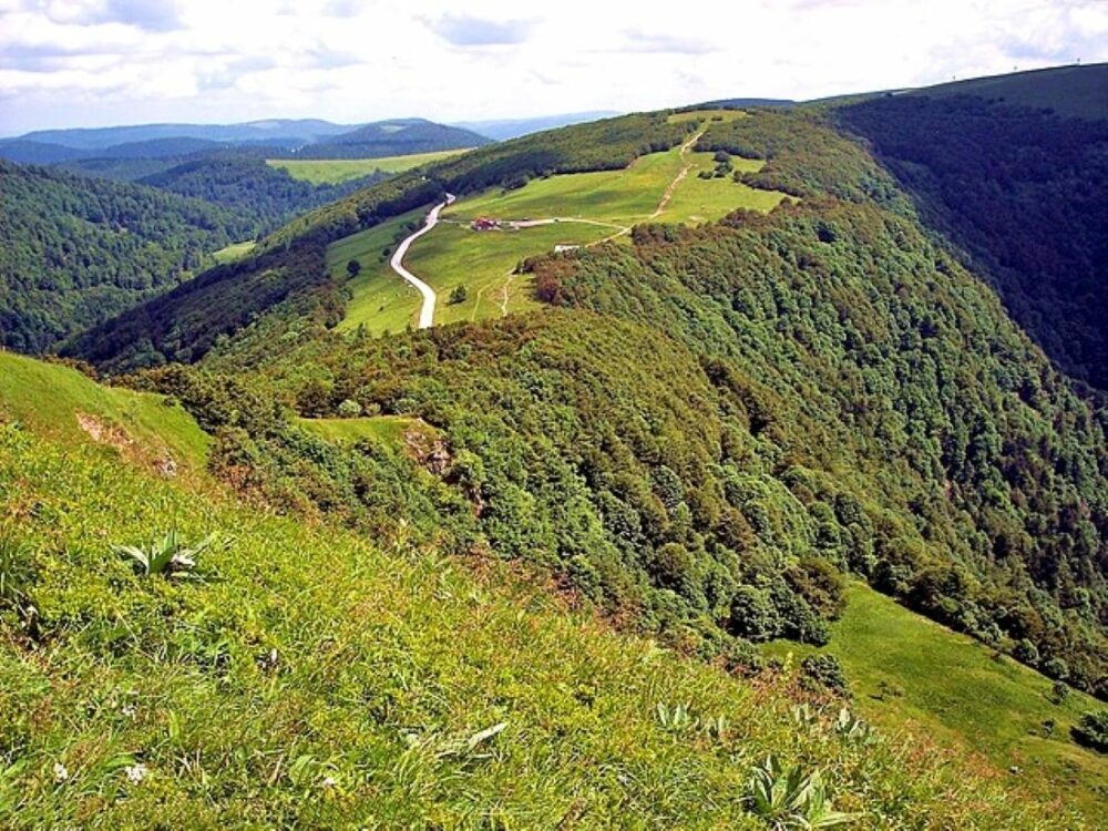 randonnée dans les Vosges