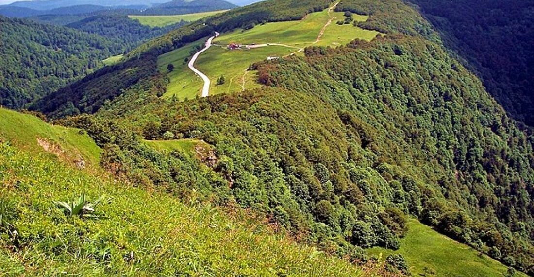 randonnée dans les Vosges