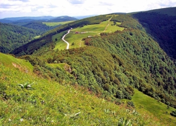 randonnée dans les Vosges