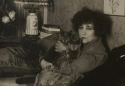 Exposition Colette