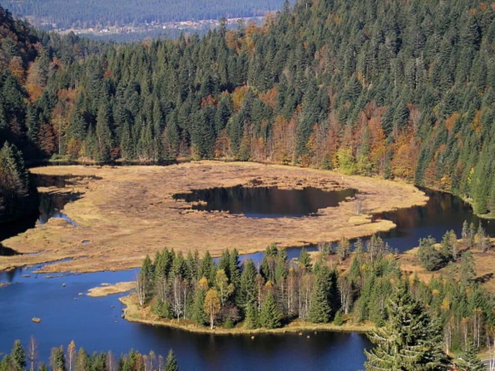 le lac de Lispach