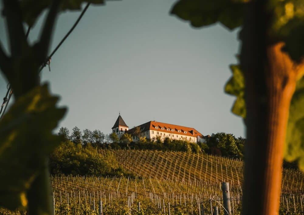 Vignoble de Val de Loire