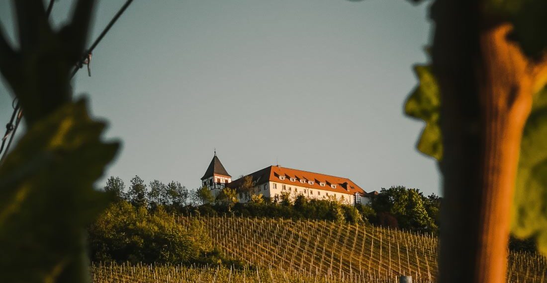Vignoble de Val de Loire
