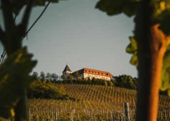 Vignoble de Val de Loire