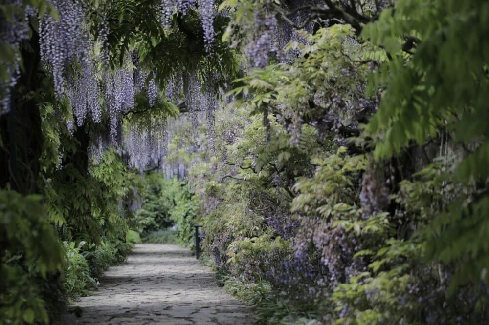 jardin wallons