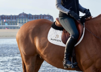 Barrière accueille les chevaux