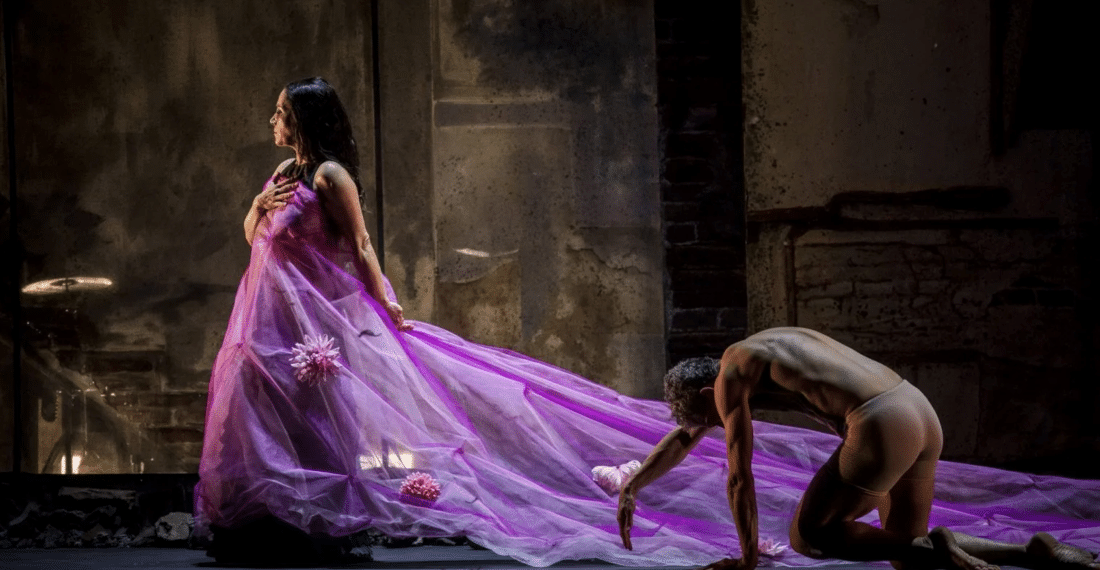 festival Arte Flamenco