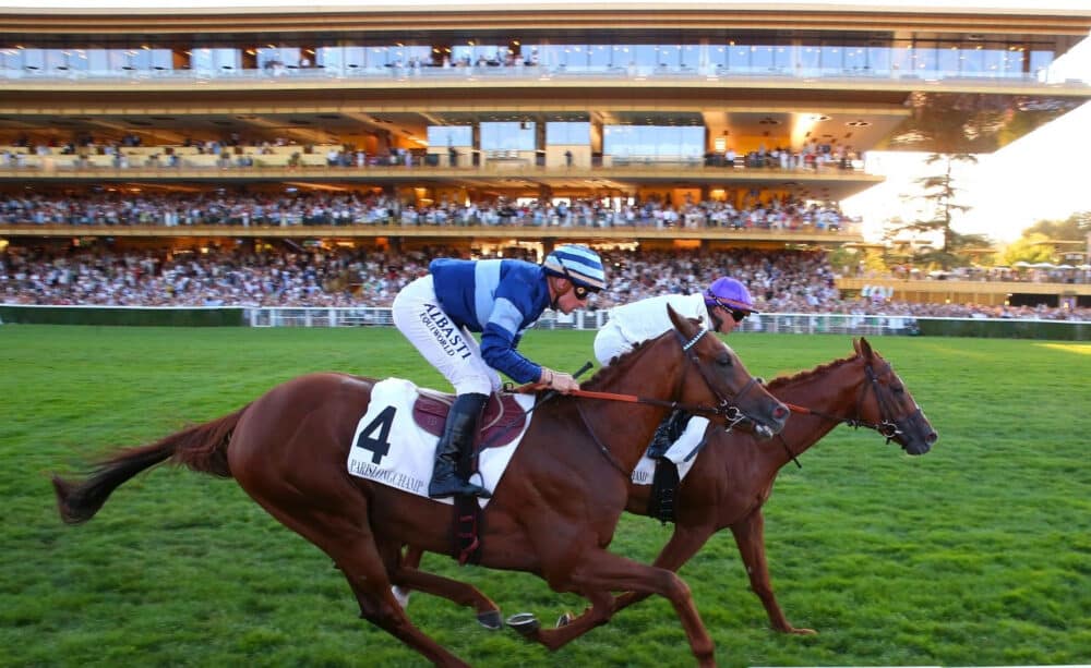 Course à l'Hippodrome de Longchamp