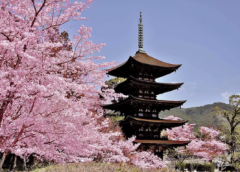 Offres Korean Air pour le Japon et la Corée du Sud