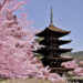 Offres Korean Air pour le Japon et la Corée du Sud