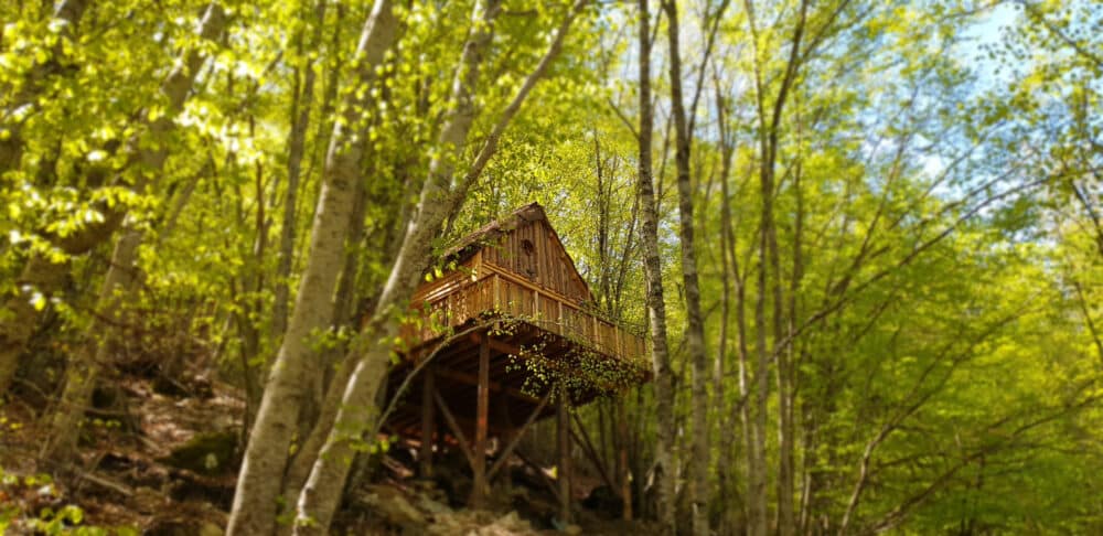 escapade dans les arbres à orcières