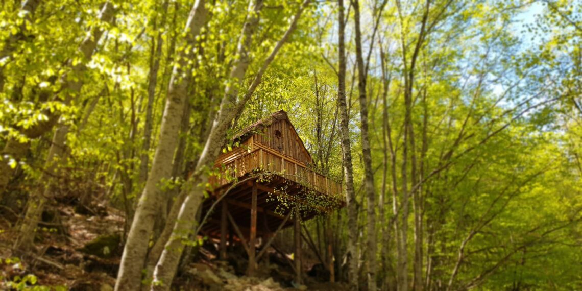escapade dans les arbres à orcières
