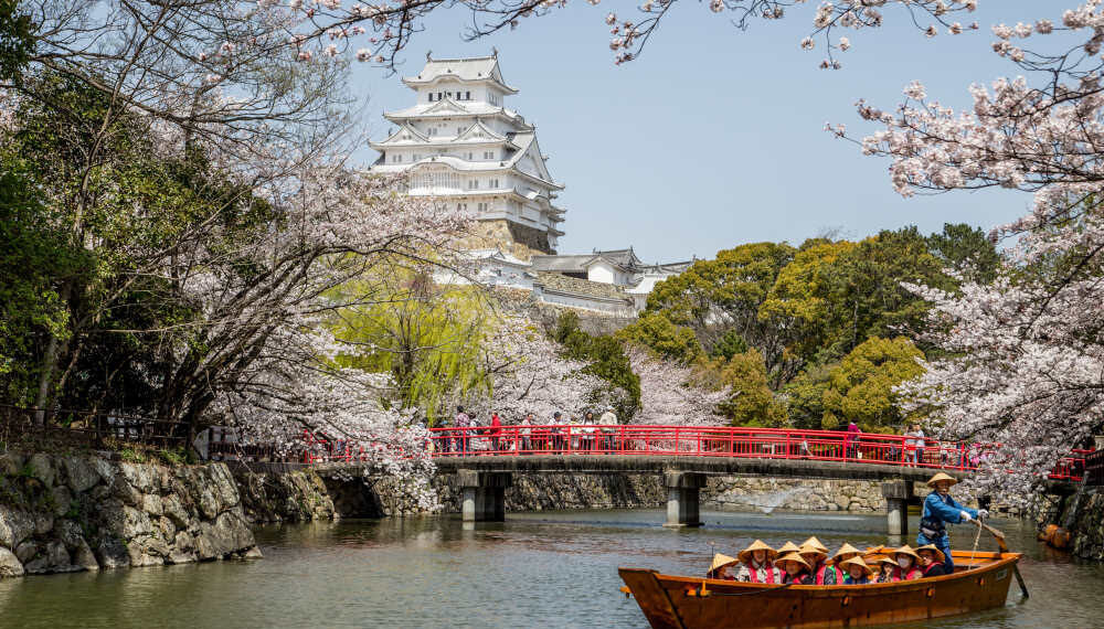 Saison des matsuri au Japon