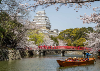 Saison des matsuri au Japon