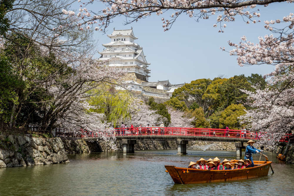 Saison des matsuri au Japon
