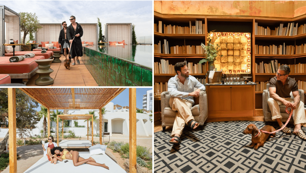 Queer Destinations Committed