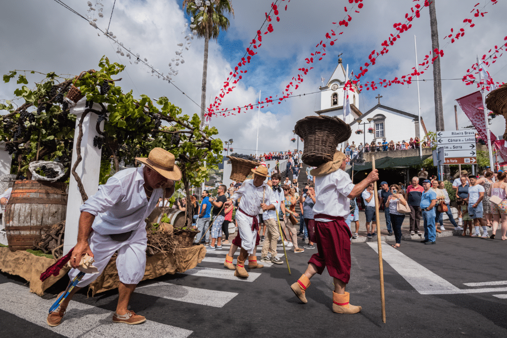 festival du vin madère