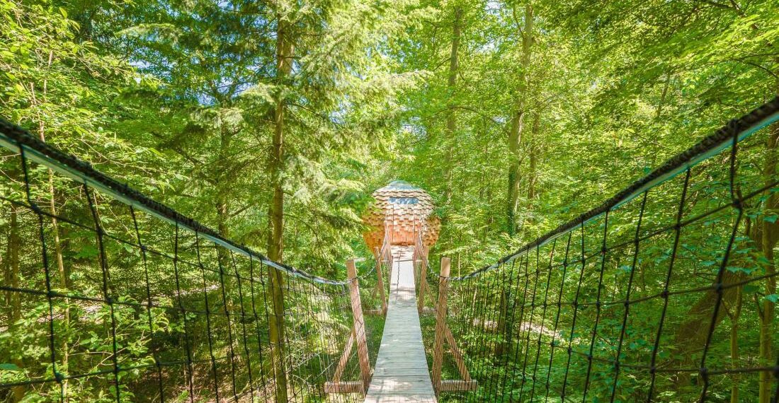 Cabane Lov'nid Spa Cosy Cocoo Grands Chênes