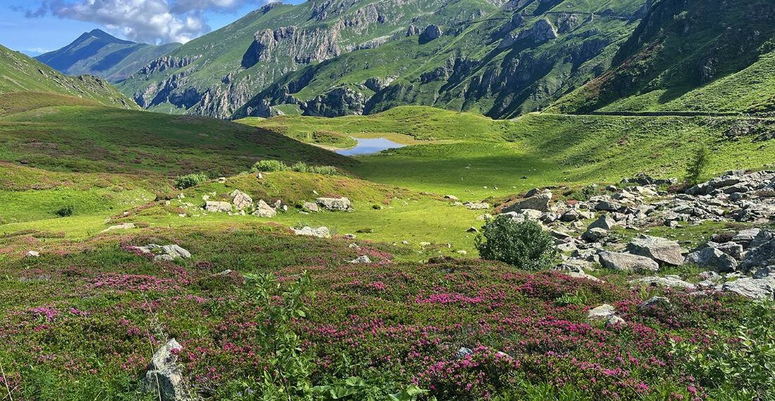 La Haute Route du Sel