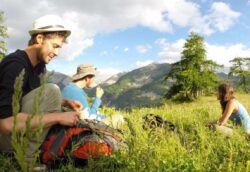 Habitudes des Français en vacances