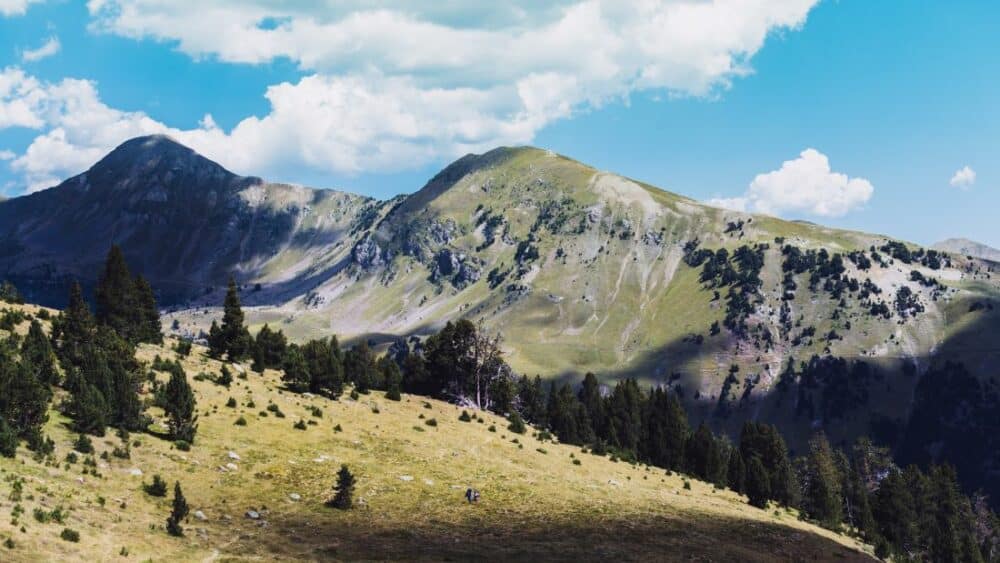 Pyrénées cet été