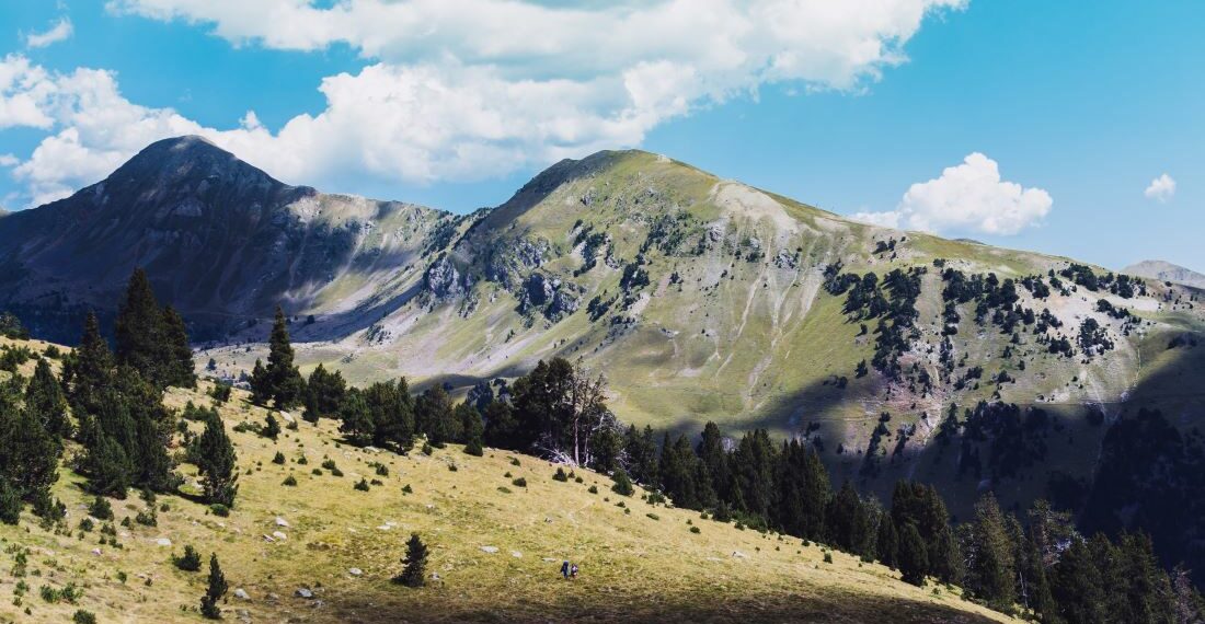 Pyrénées cet été