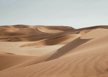 désert d'Abu Dhabi