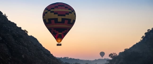 Safari en Afrique du Sud