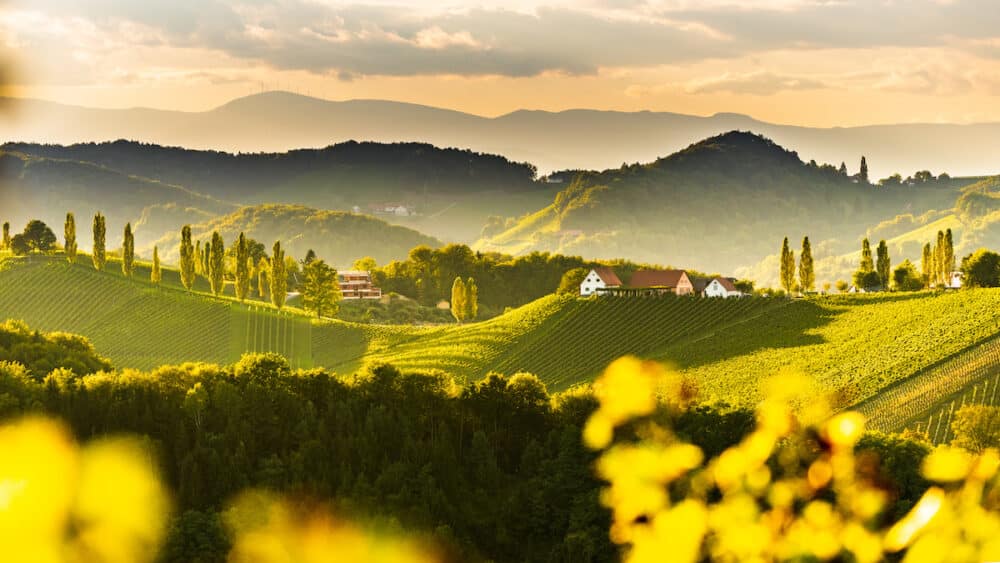 Vignobles d'Europe à visiter en automne