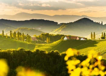 Vignobles d'Europe à visiter en automne