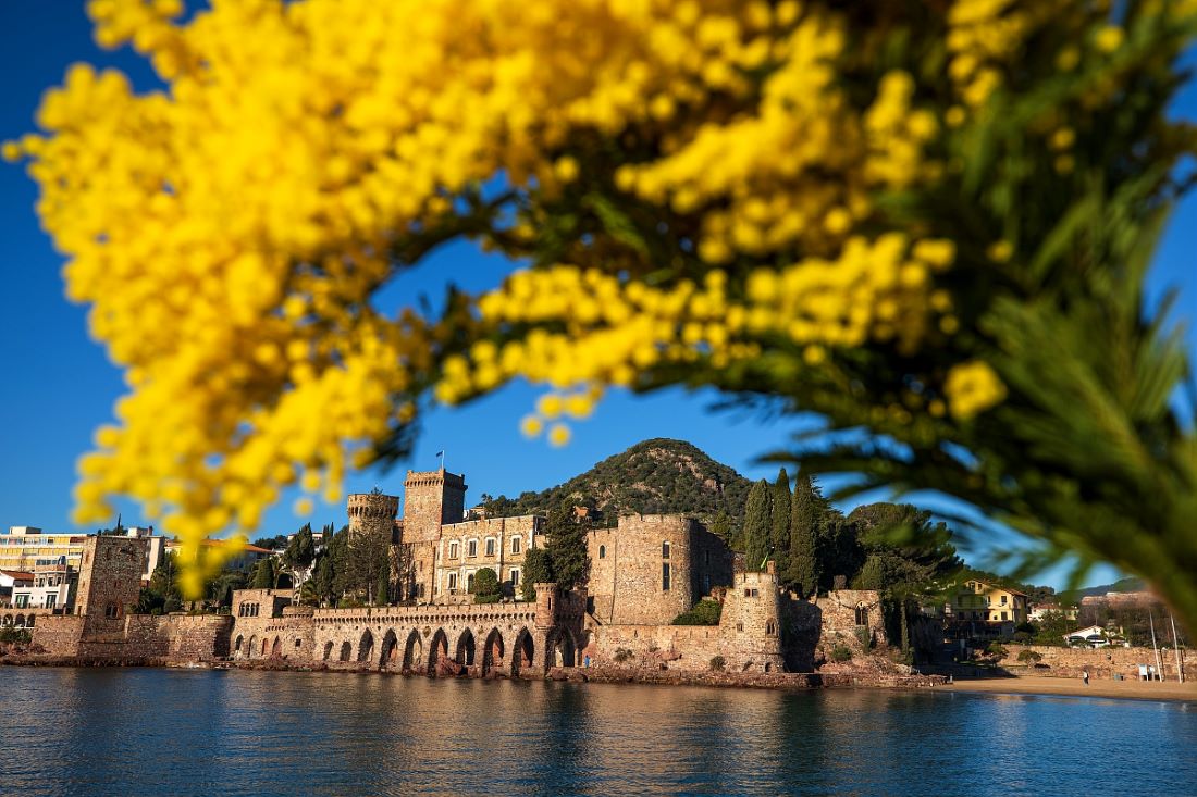 Fête du Mimosa à Mandelieu InfoTravel.fr