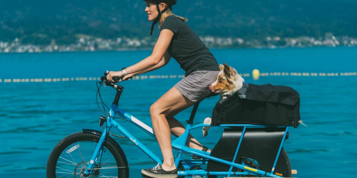 WoofTop Yuba, vélo avec votre chien